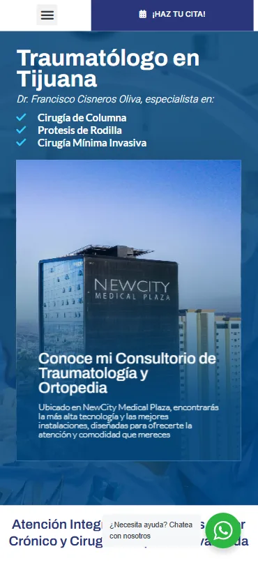 Vista m&oacute;vil proyecto Tijuana